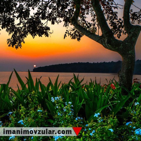  Rəbbimizin ən gözəl isimləri