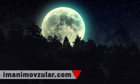 Hz. Mehdinin (əs) öldüyü zənn ediləcək