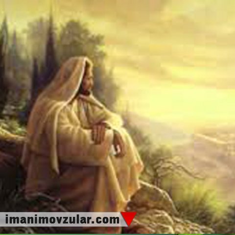 Peyğəmbərimizin (s.ə.v.) möminlər arasındakı sevgini tövsiyə edən sözləri 