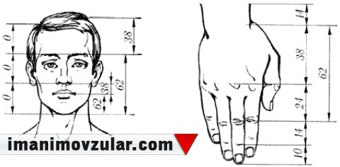 Qızıl nisbətlə bağlı mühüm məlumatlar